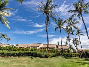 Ein Resort mit mehreren bungalowartigen Gebäuden, Palmen und gepflegten Rasenflächen.