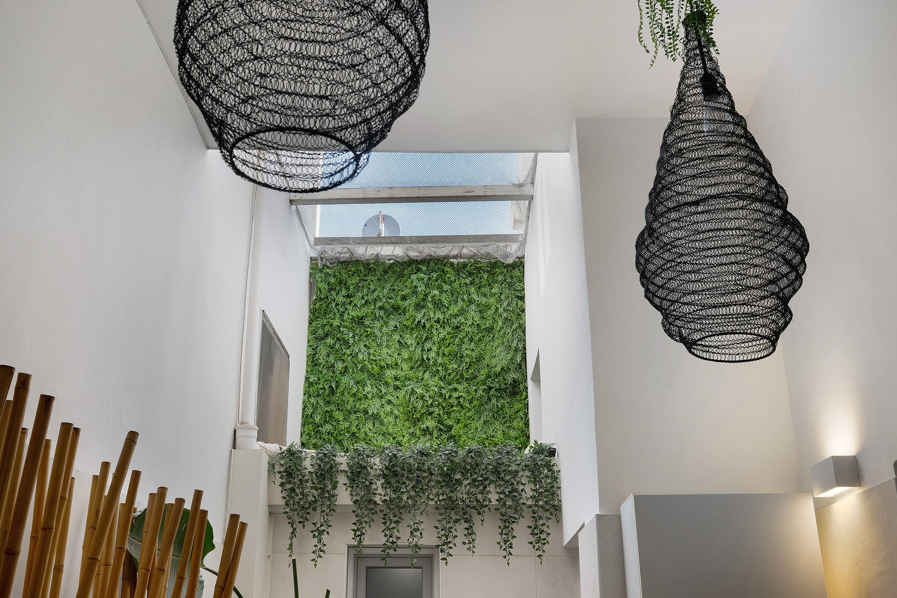 A room with a green wall, a window, and hanging plants.