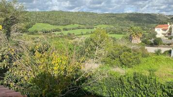 A residential area with a view of green fields and hills in the distance.