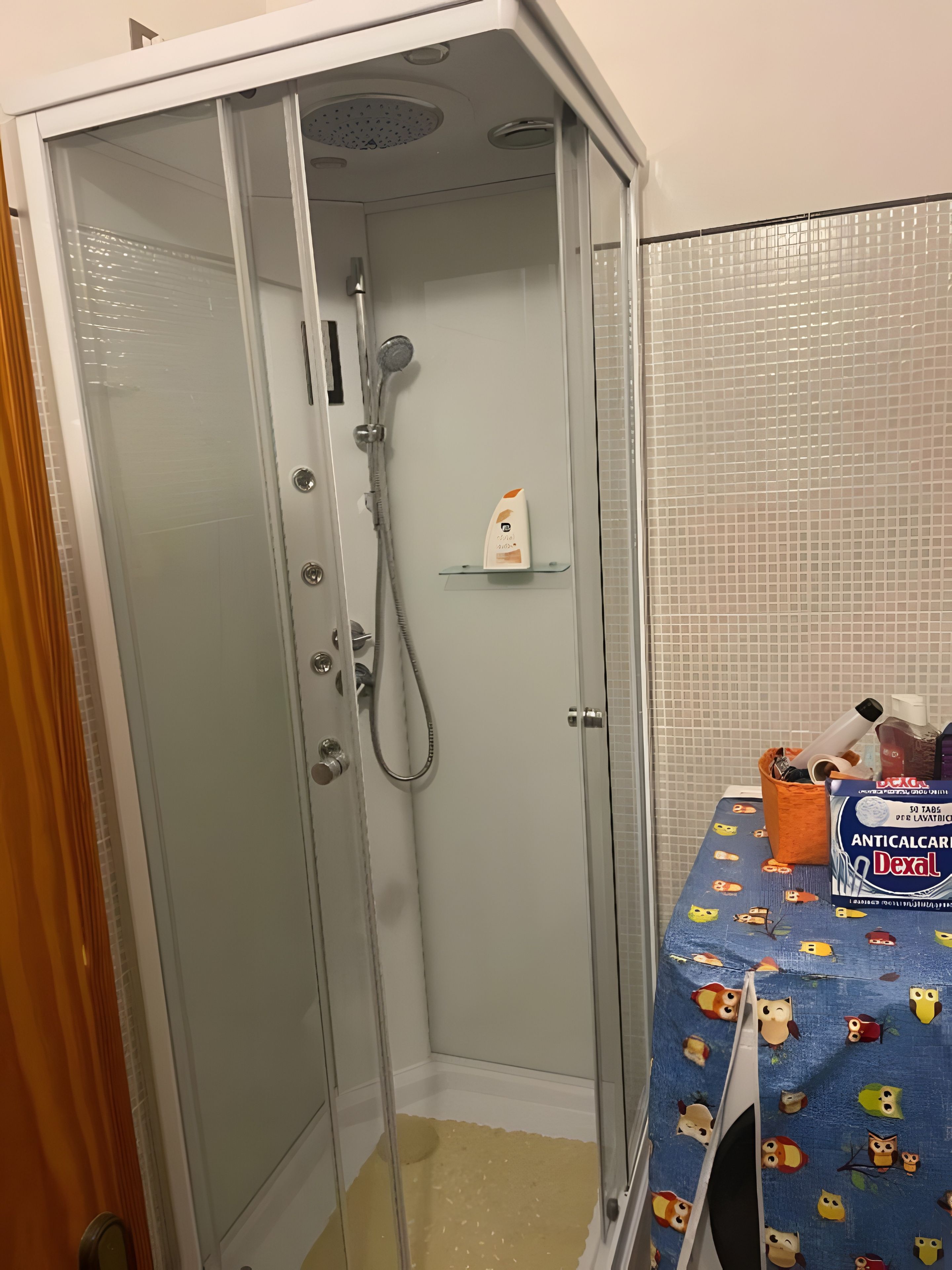 A shower enclosure with a glass door, a handheld showerhead, and a shelf with toiletries.
