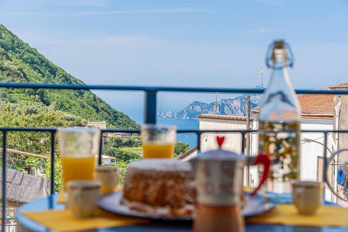 A table with a bottle, glasses, and a plate of food, overlooking a mountainous landscape and the sea.