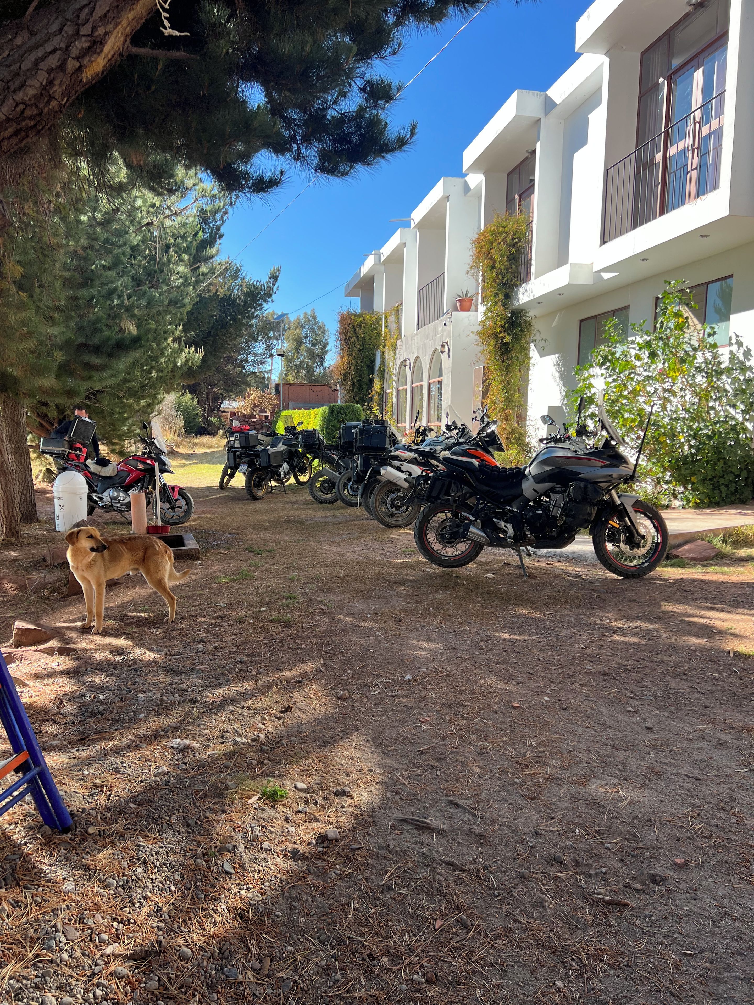 Une zone pavée où sont garées des motos, avec un chien et un bâtiment doté d’un balcon.