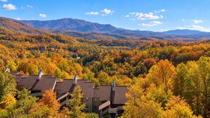Ein Wohngebiet mit Häusern, umgeben von Herbstlaub und Bergen im Hintergrund.