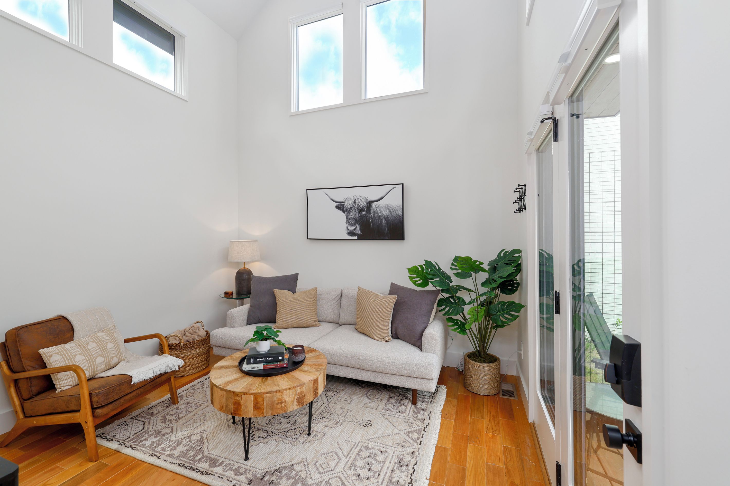A modern living room with a sofa, coffee table, and a large plant.