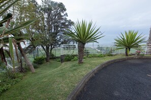 A landscaped area with a paved path, a palm tree, and a fence. - Formosa Beach Apartment Vista Mar a 2 Minutos da Praia (Funchal)
