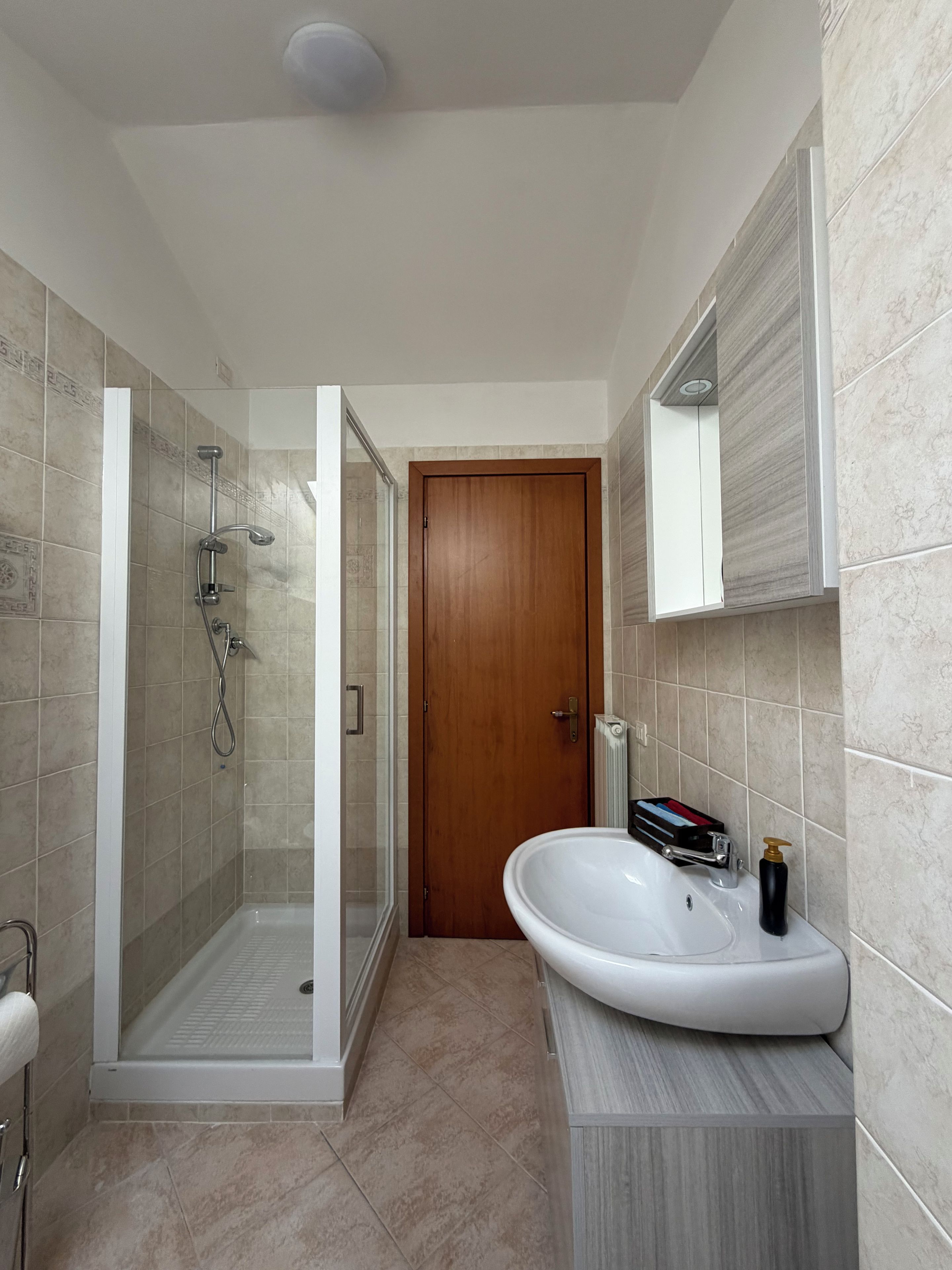 Ein modernes Badezimmer mit einer gläsernen Dusche, einer Holztür und einem weißen Waschbecken mit Spiegel darüber.