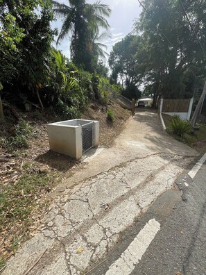A paved pathway with a concrete structure on the left, surrounded by dense greenery and trees.