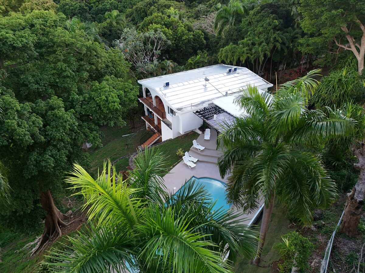 Une maison avec une piscine, entourée d’une végétation luxuriante.