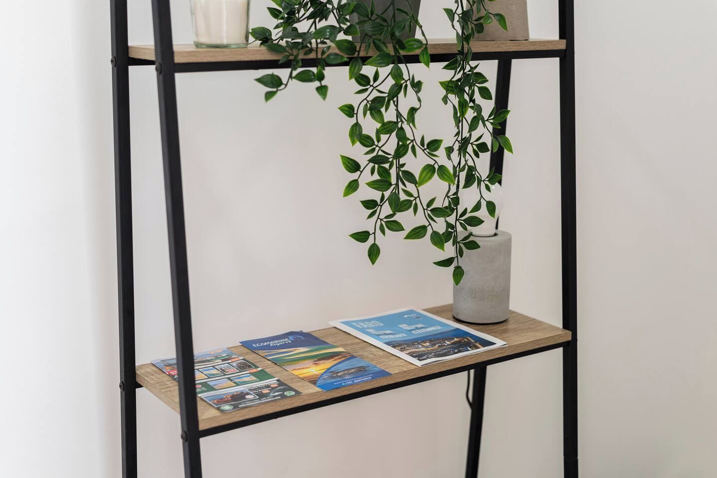 A metal-framed shelf with a potted plant and brochures.
