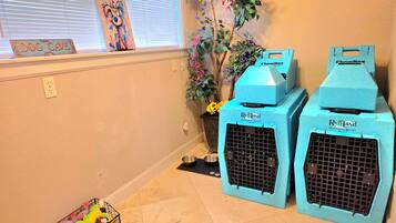 A room with a window, a wall-mounted sign reading 'DOG CAVE', two blue pet kennels, a plant, and a basket of toys.