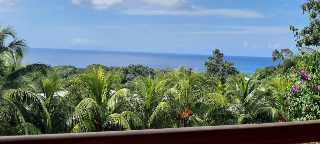 Paisaje tropical con vegetación exuberante y vista al océano.