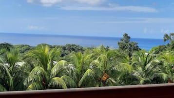 Paisaje tropical con vegetación exuberante y vista al océano.