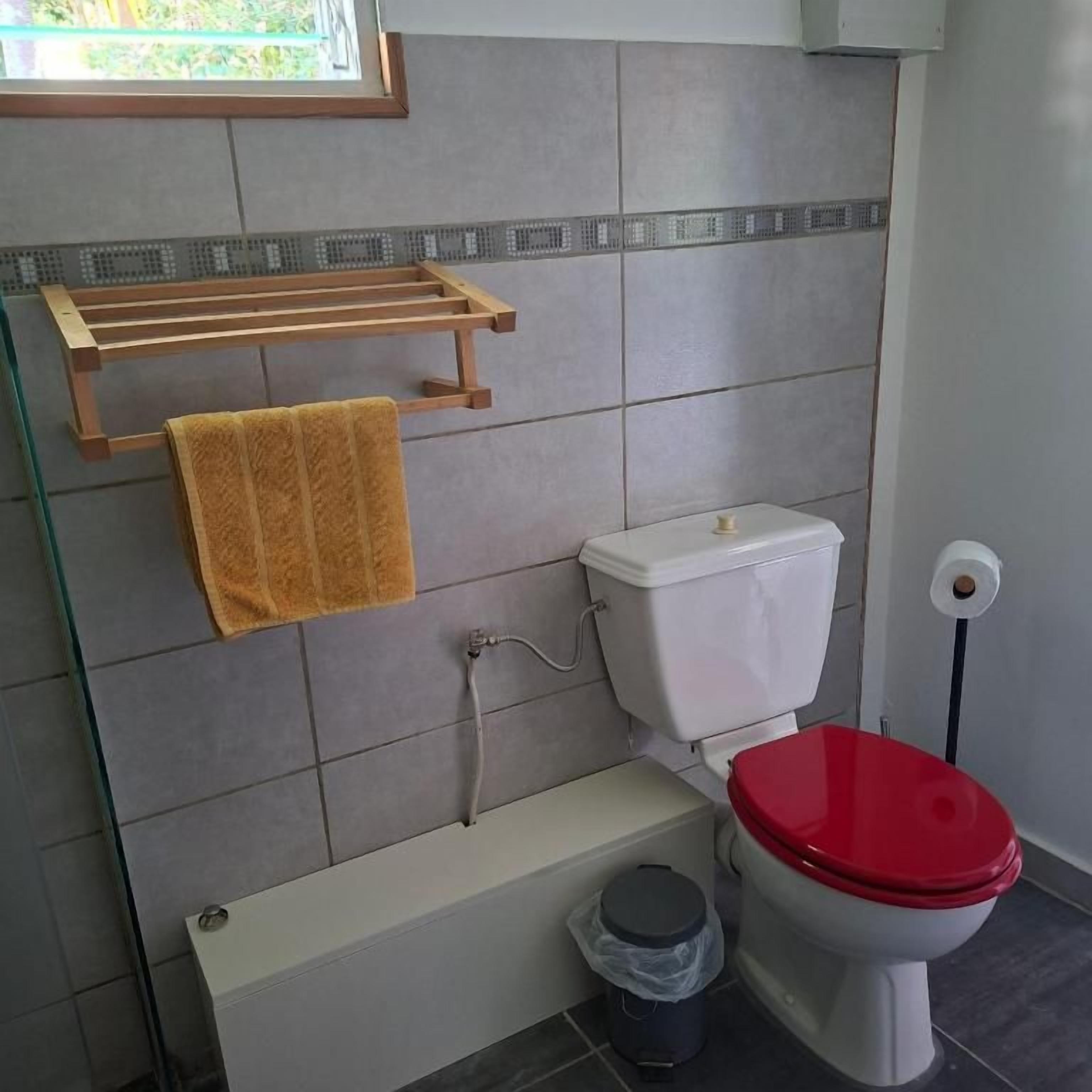 Een badkamer met een toilet, een glazen plank en een handdoekhouder.