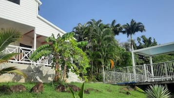 A white building with a covered porch, surrounded by lush greenery and palm trees.