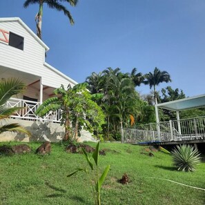 A white building with a covered porch, surrounded by lush greenery and palm trees.