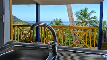 Una cocina con lavamanos y vista al océano y palmeras.