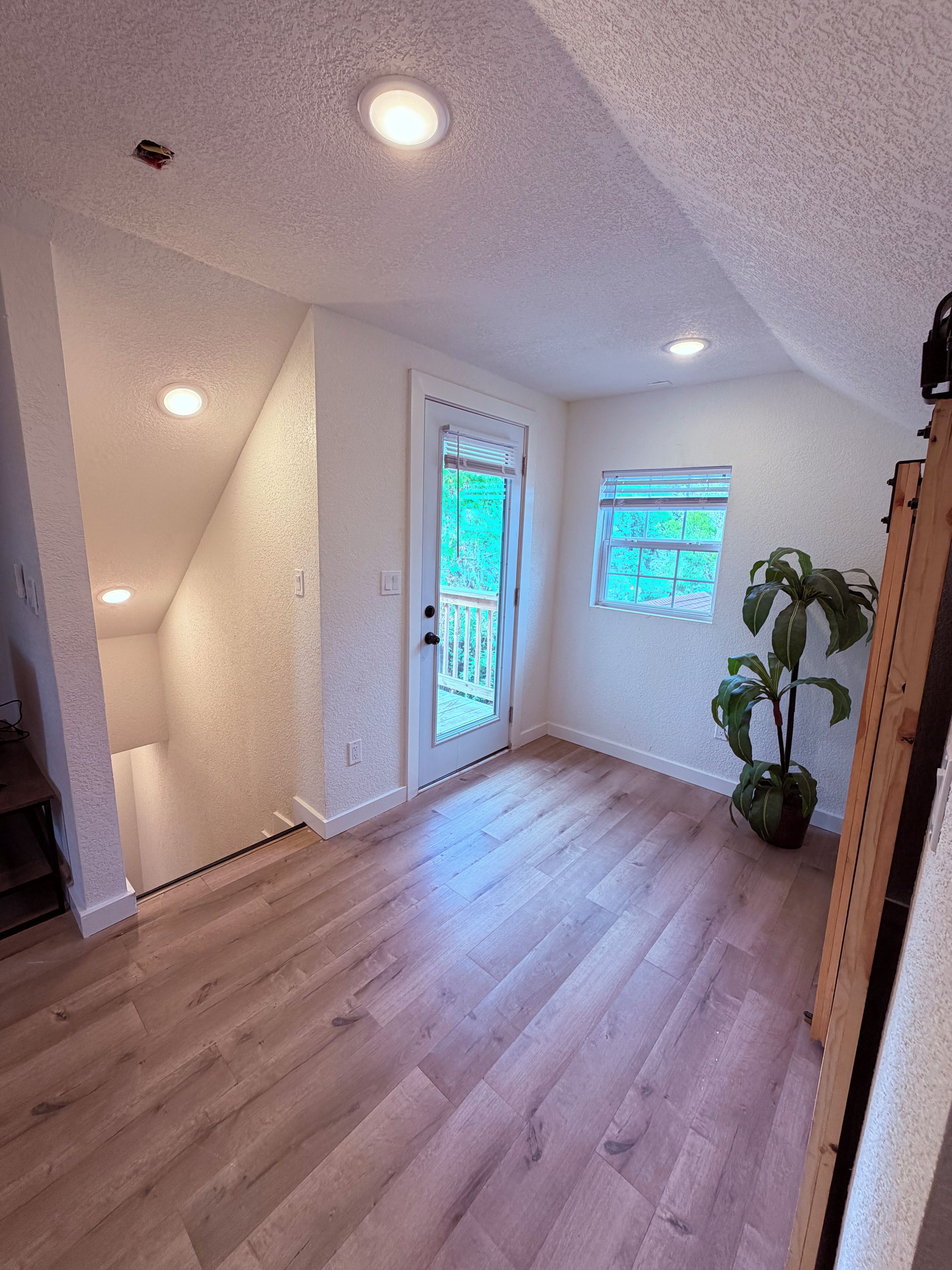 Une pièce avec un plancher en bois, une porte blanche dotée d’un panneau de verre et une plante en pot.