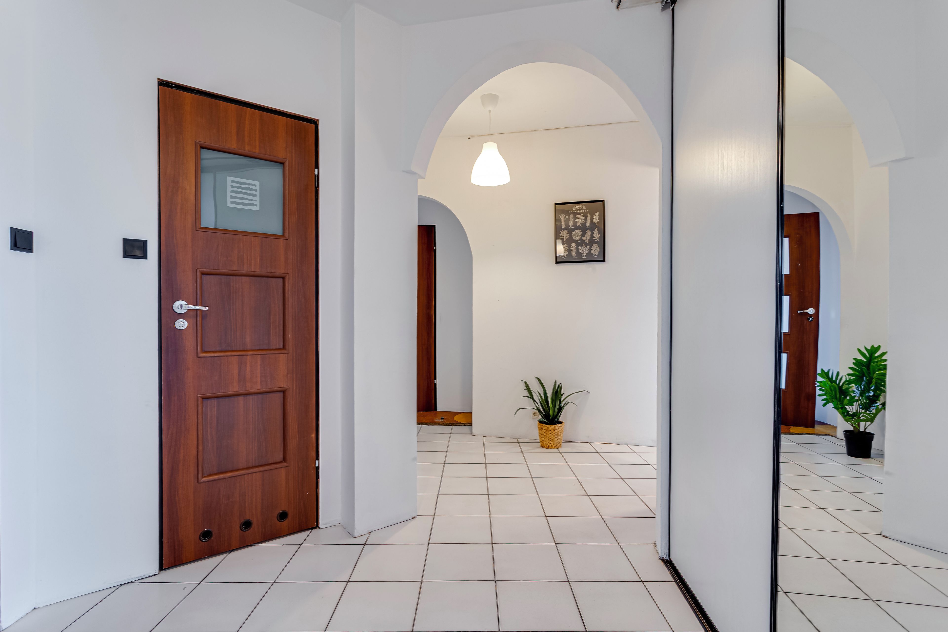 Un pasillo con una puerta de madera, una planta en maceta y un cuadro en la pared.