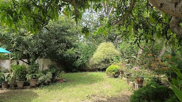 Quang cảnh vườn
