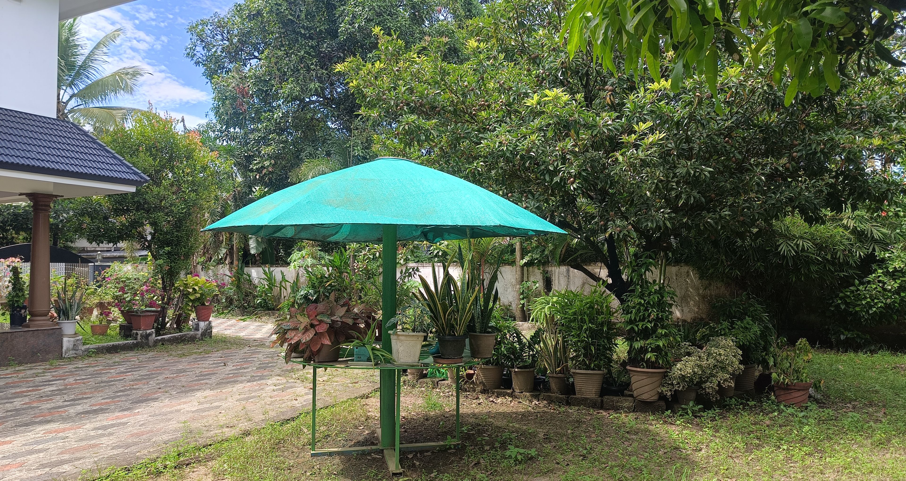 Garden view