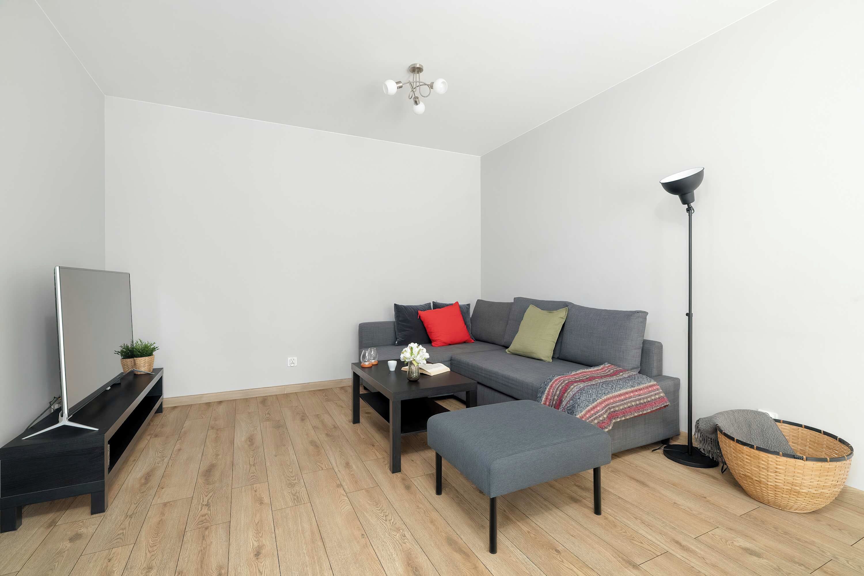 A modern living room with a grey sofa, a coffee table, a TV stand, a floor lamp, and a basket.