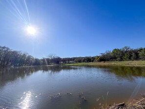 Un lac paisible, bordé d’arbres, sous un ciel dégagé.