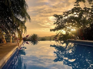 A swimming pool with a clear reflection of trees and a sunset in the background. - Ocean View Studio Home, Samara Nosara Sal Vida 2 (Naranjal)