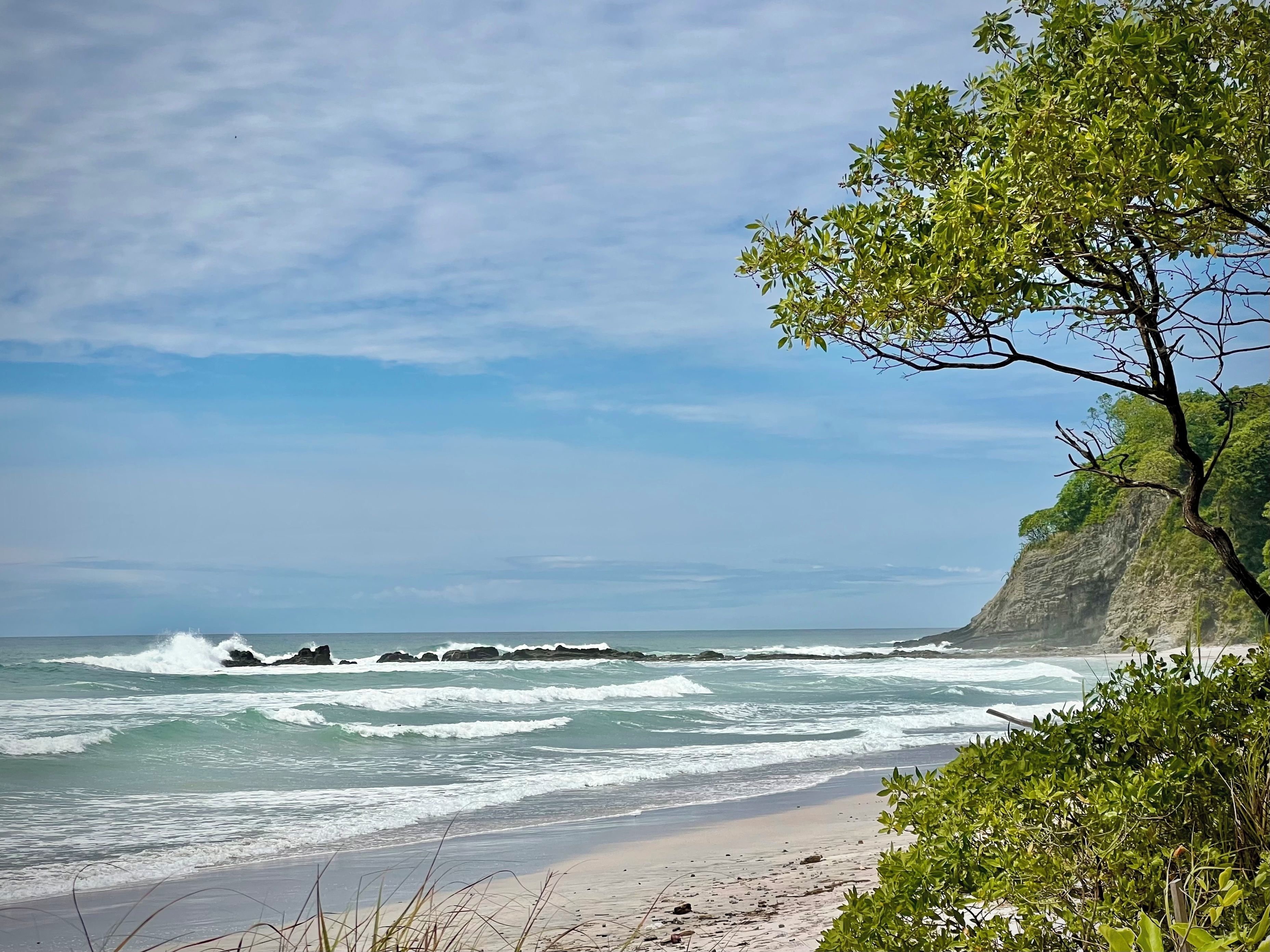 A beach with waves, a cliff, and greenery.