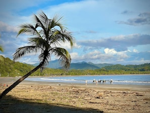 A beach with a palm tree, ocean waves, and a mountainous backdrop. - Ocean View Studio Home, Samara Nosara Sal Vida 2 (Naranjal)