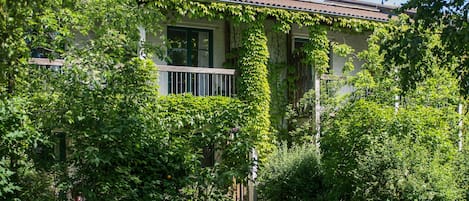 A house with ivy-covered walls, a visible front door, and a satellite dish on the roof.