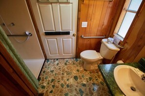 A bathroom with a toilet, a sink, and a shower area. - Two Room Trout Pond Cabin - Sleeps 6 to 8 guests, ADA Accessible (Gore)