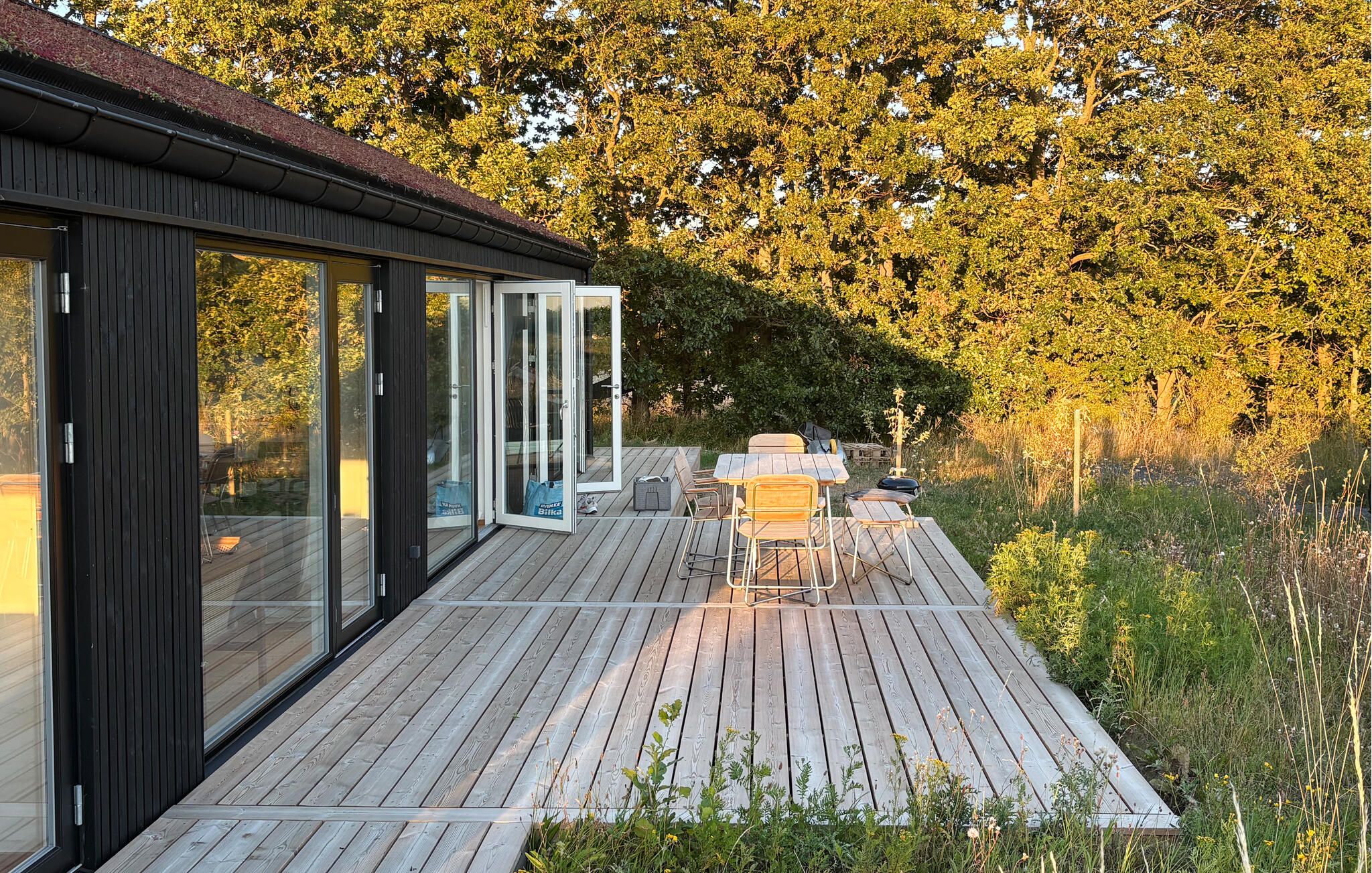 Une terrasse en bois avec des portes vitrées donnant sur un espace extérieur couvert, entouré d’arbres.