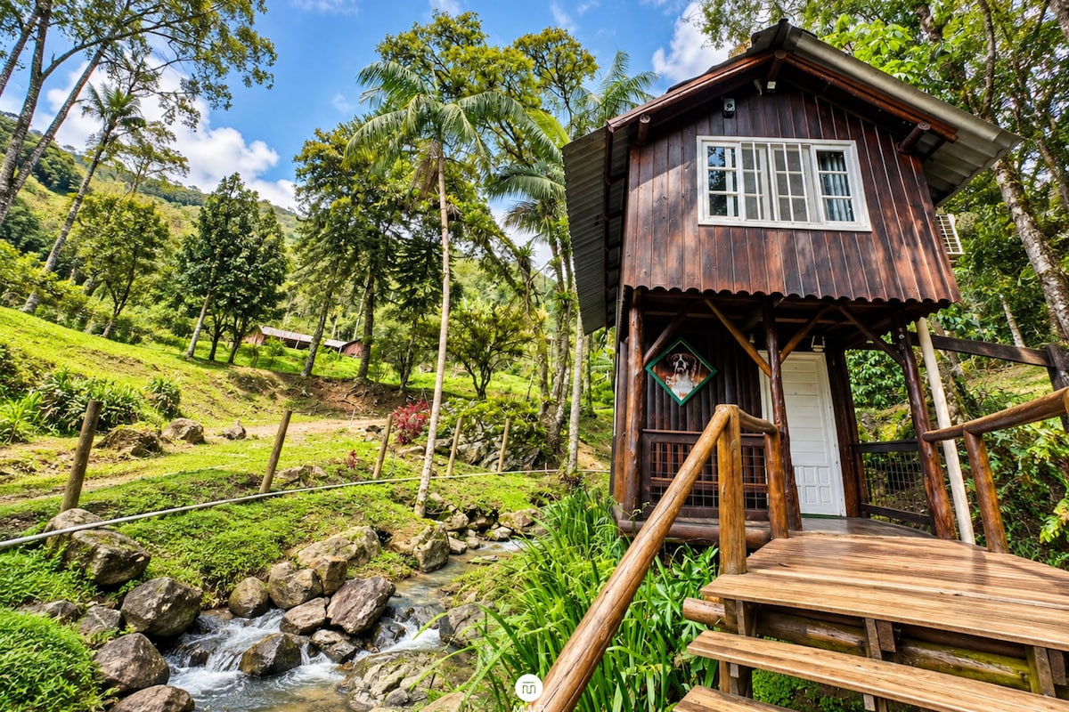 A wooden cabin with a porch, surrounded by lush greenery and a small stream.