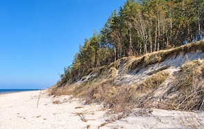 Ein Strand mit Dünen und einem bewaldeten Gebiet.