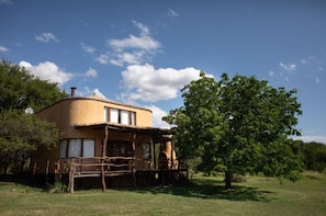 Een gelijkvloers huis met een plat dak, een veranda en een grote boom op de voorgrond.