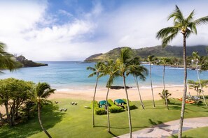A tropical beach resort with a clear view of the ocean, palm trees, and a grassy area with lounge chairs.