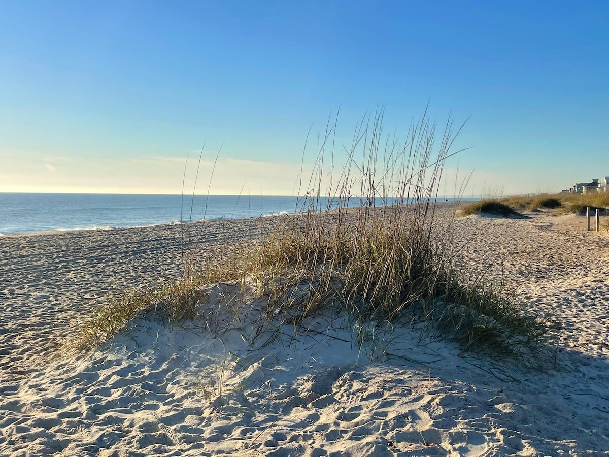 A sandy beach with sparse vegetation and a clear sky.