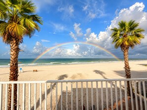 Una playa con una cerca blanca, palmeras y un arcoíris sobre el océano.