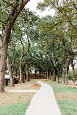 Ein von Bäumen gesäumter Weg mit Picknicktischen, der an einen Park erinnert.