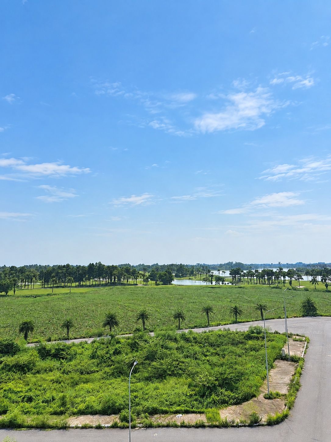 A rural landscape with fields, a road, and a clear sky.