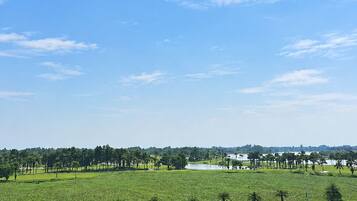 A rural landscape with fields, a road, and a clear sky.