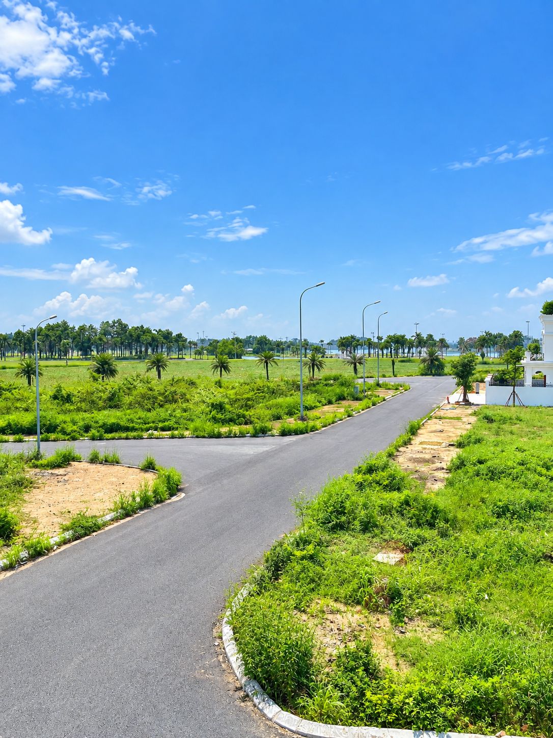 A paved road curving through a green landscape with palm trees and a clear blue sky.