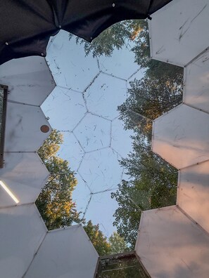 A hexagonal skylight with a view of trees and a clear sky. - Leo | Black Lake Glamping Dome (Hammond)