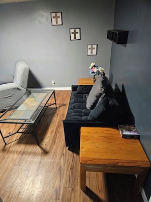 Living area - Cozy 1-bedroom apartment in amazing Clinton with AC (Clinton)