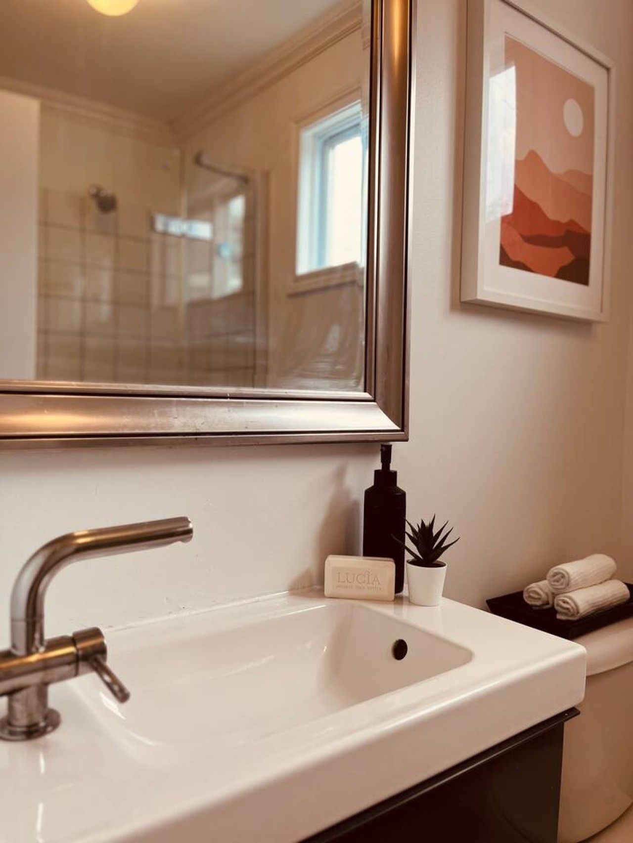 A bathroom with a white sink, a mirror, a framed picture on the wall, and a small potted plant.