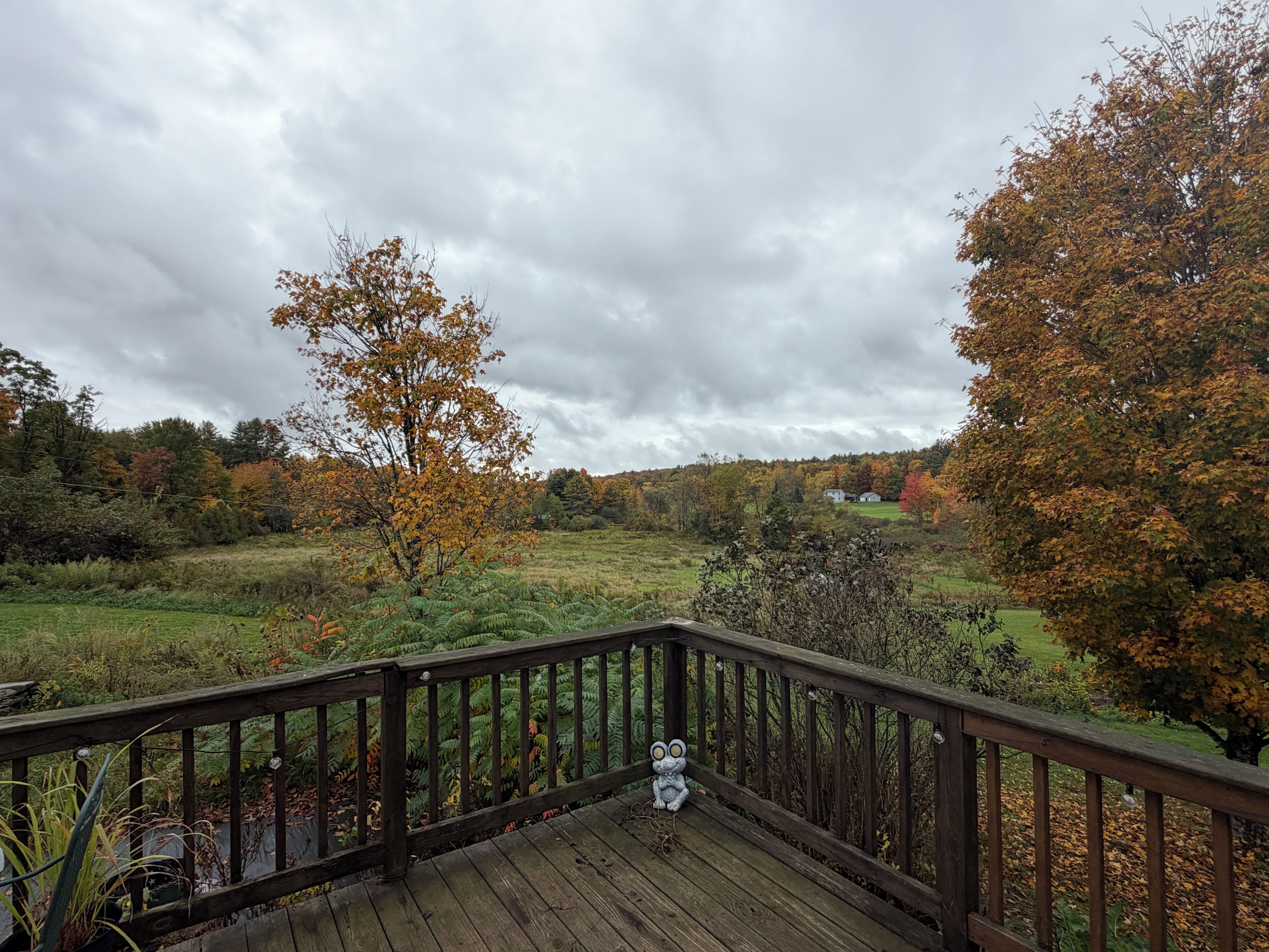 Área da propriedade