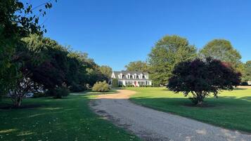 A house with a driveway leading to a front lawn, surrounded by trees and greenery.