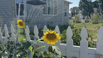 A house with a white picket fence, a sunflower, and a sprinkler system.