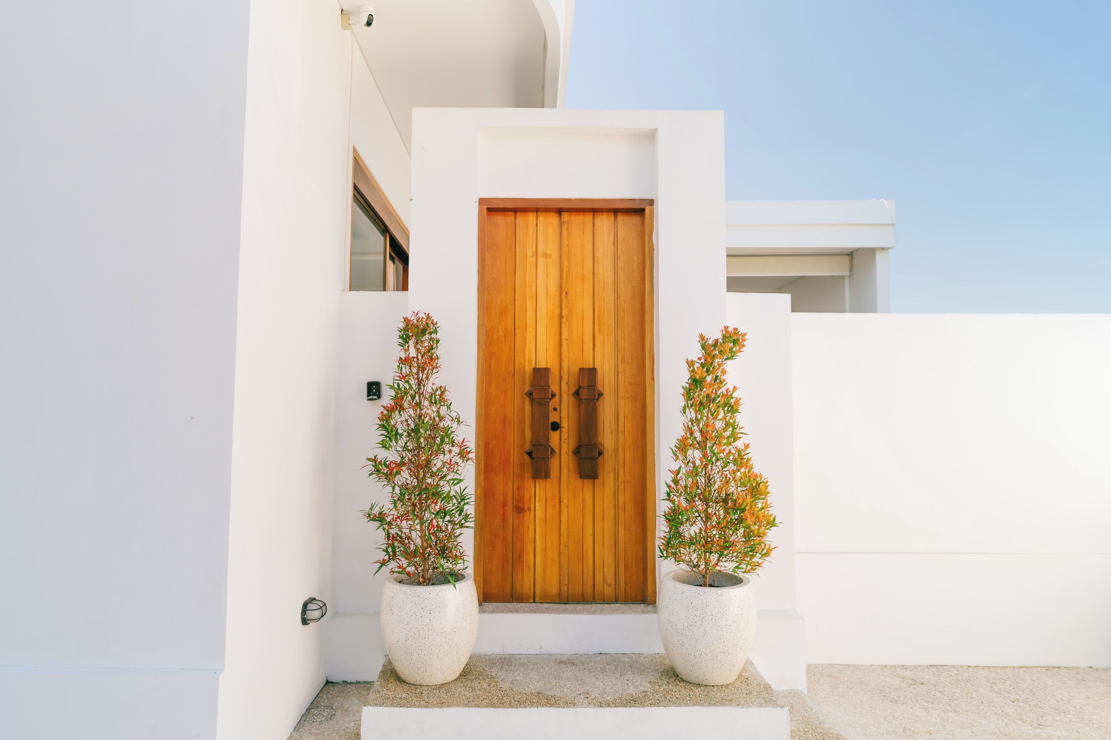 A modern building entrance with a wooden door, two potted plants, and a clear sky.