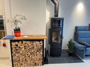 A modern living space with a wood-burning stove, a potted orchid, and a blue sofa. - Am Bächli Appartement/Fewo 4-Bettwohnung by Interhome (Engelberg)